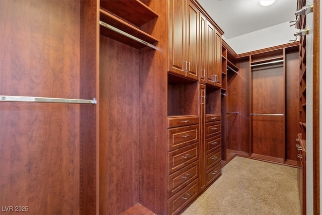 spacious closet featuring light colored carpet