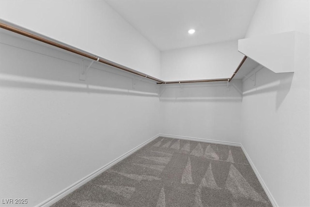 walk in closet featuring carpet floors