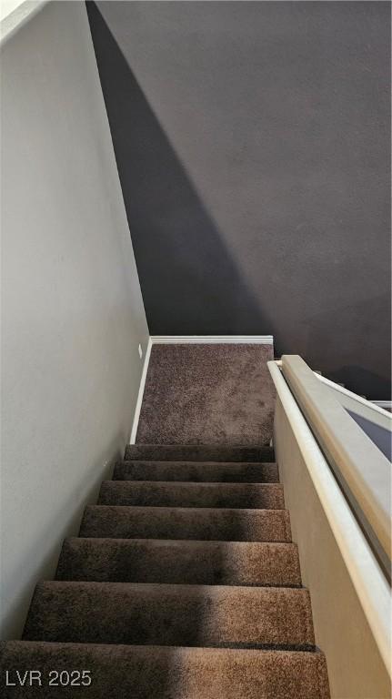 stairs featuring carpet floors