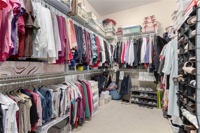 spacious closet featuring carpet floors