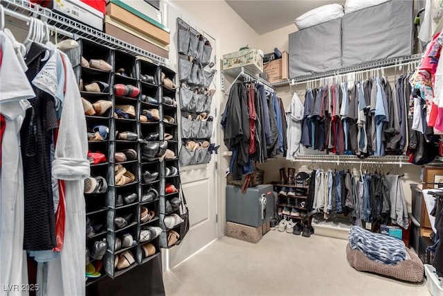 spacious closet with carpet floors