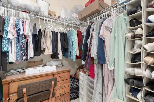 view of walk in closet