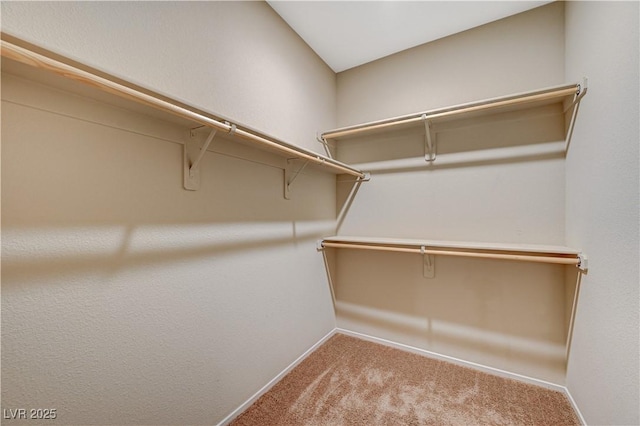 spacious closet featuring light colored carpet