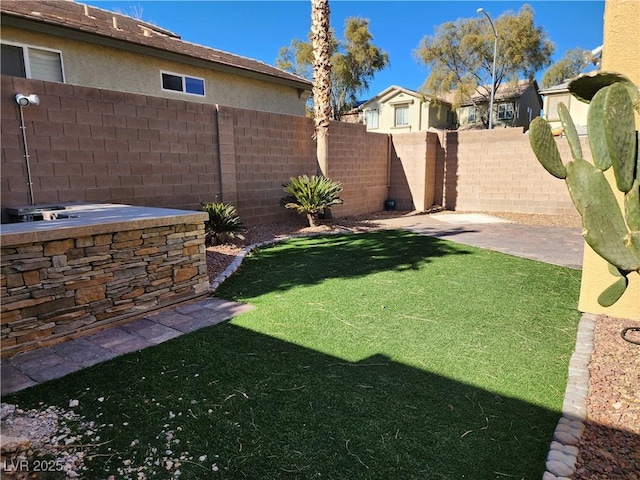 view of yard featuring a patio area