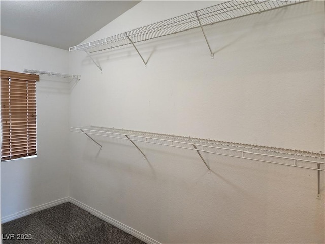 spacious closet featuring vaulted ceiling and carpet