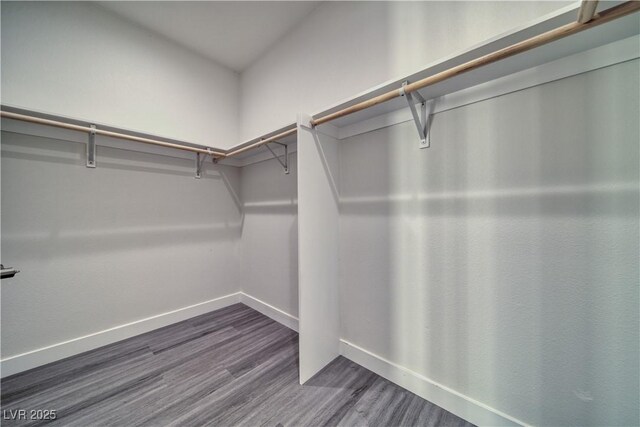 walk in closet with dark wood-type flooring