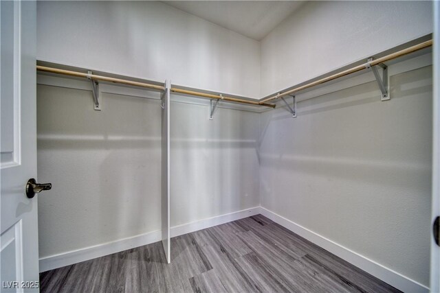 walk in closet with hardwood / wood-style floors