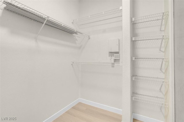 walk in closet with wood-type flooring