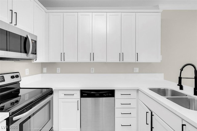 kitchen featuring white cabinetry, sink, and appliances with stainless steel finishes