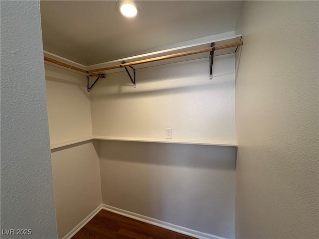 spacious closet featuring dark hardwood / wood-style flooring