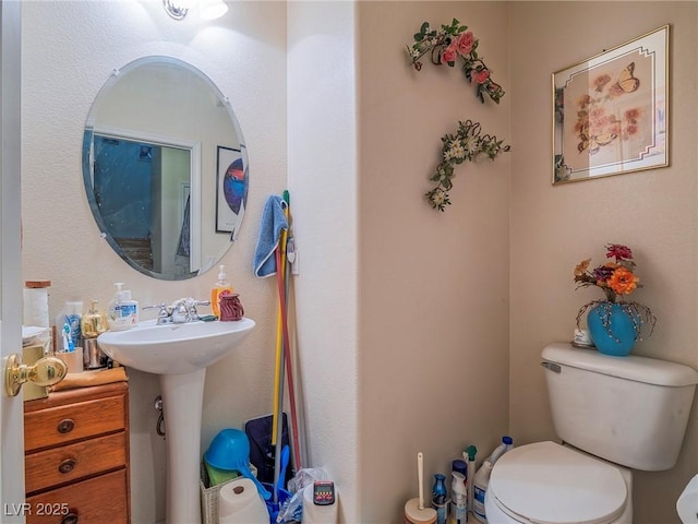 bathroom featuring toilet