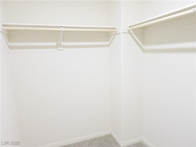 walk in closet featuring carpet flooring