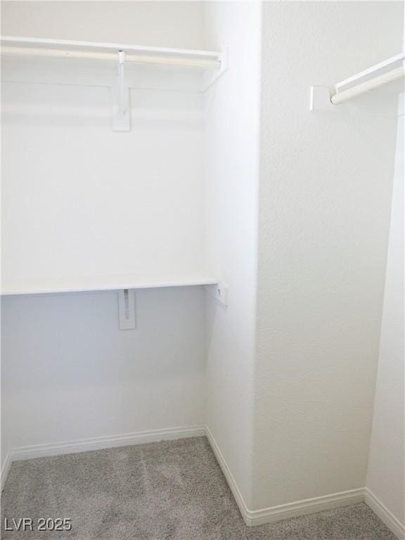 spacious closet with carpet