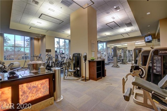 exercise room featuring light carpet