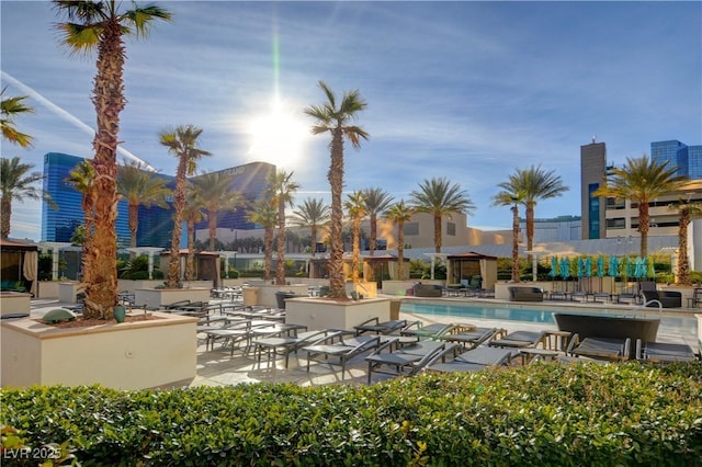 view of swimming pool with a patio