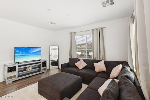 living room featuring hardwood / wood-style floors