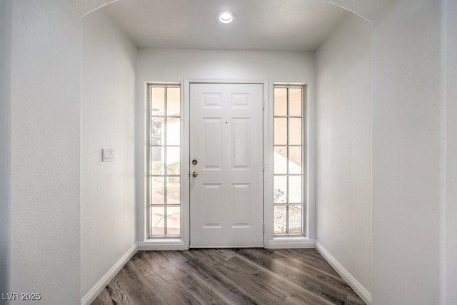 foyer featuring dark wood-type flooring and a healthy amount of sunlight