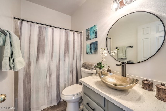 bathroom featuring toilet, a shower with shower curtain, and vanity