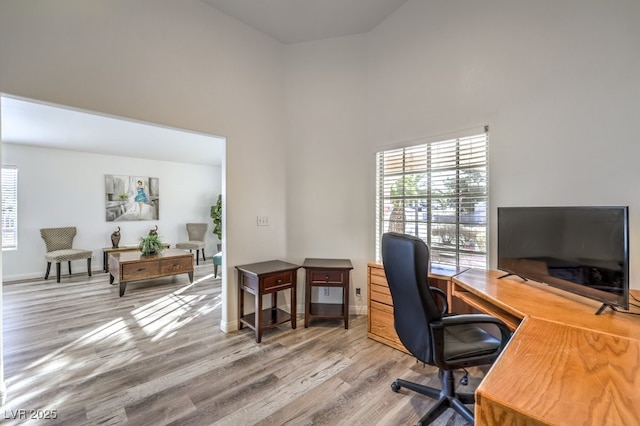 office featuring wood-type flooring