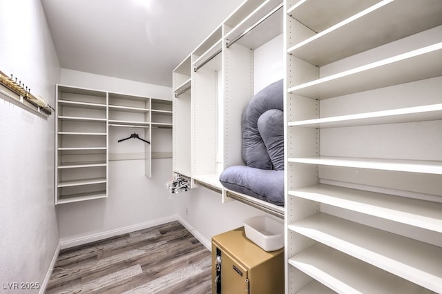 walk in closet featuring dark hardwood / wood-style flooring