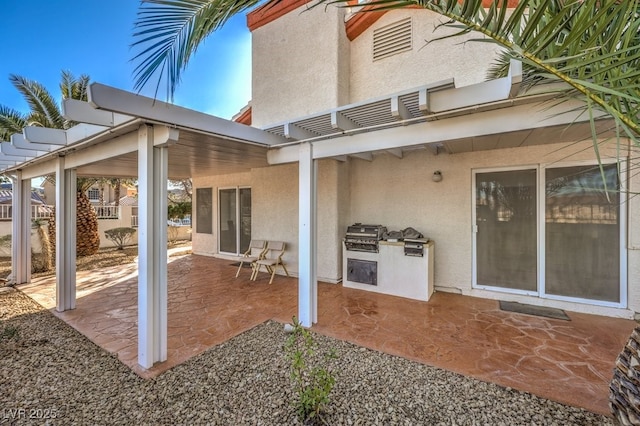 rear view of property with exterior kitchen and a patio