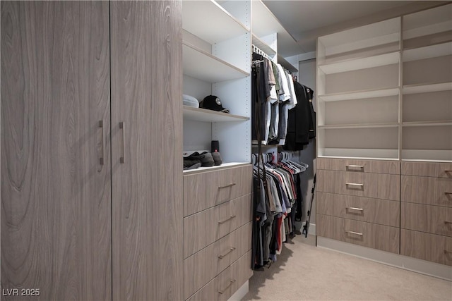 spacious closet featuring light carpet