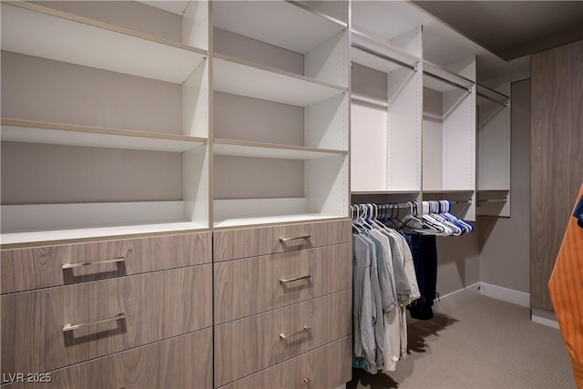 walk in closet with carpet floors