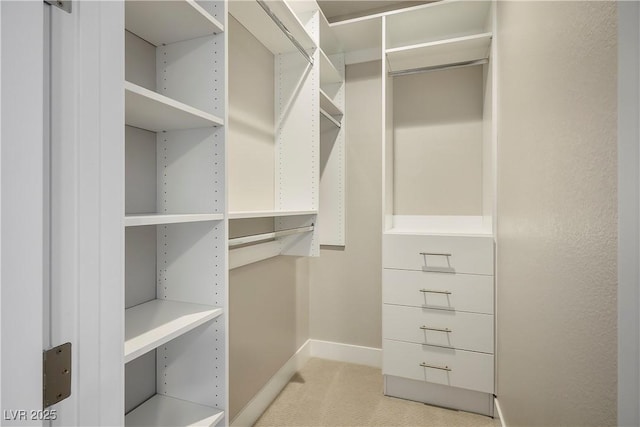 walk in closet featuring light colored carpet