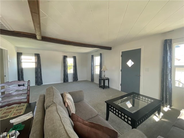 carpeted living room with a wealth of natural light and beamed ceiling