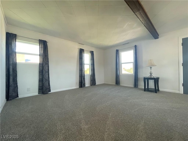 spare room with carpet floors and beam ceiling