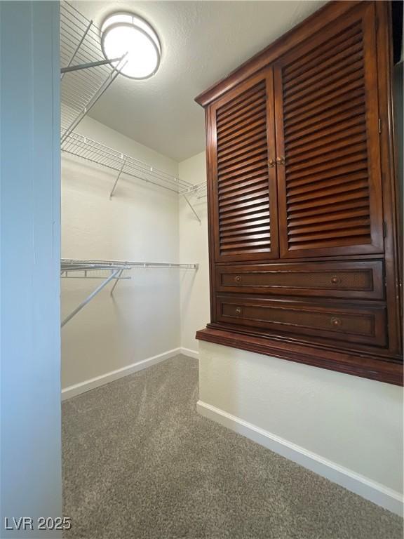 spacious closet with dark colored carpet