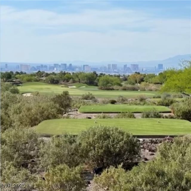 view of home's community with a yard