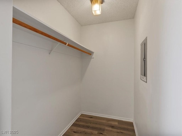 spacious closet featuring dark hardwood / wood-style flooring