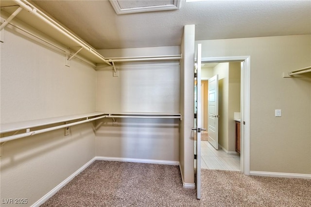 spacious closet featuring light carpet