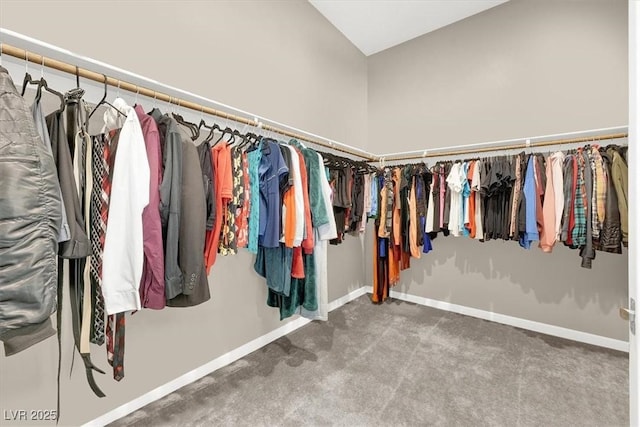 spacious closet with carpet flooring