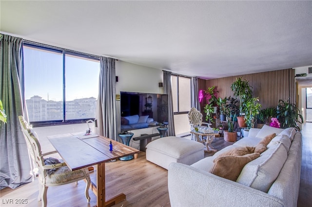 living room with floor to ceiling windows and light hardwood / wood-style floors