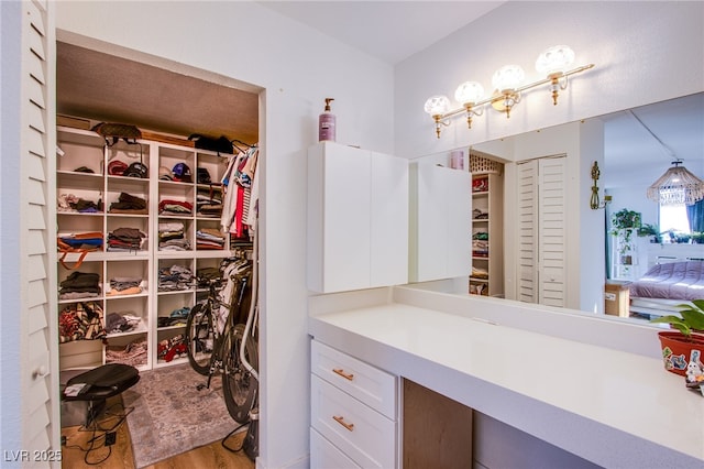 bathroom with wood-type flooring