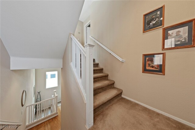 stairway with carpet flooring