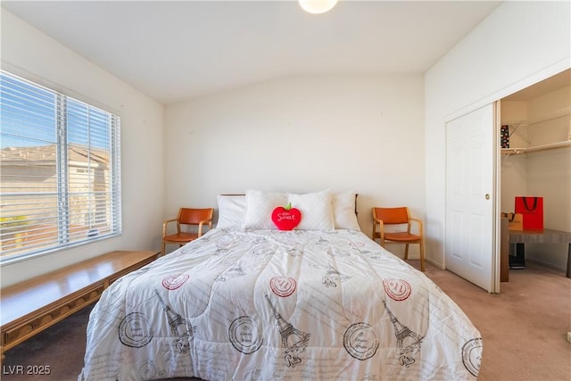 carpeted bedroom featuring lofted ceiling, a walk in closet, and a closet