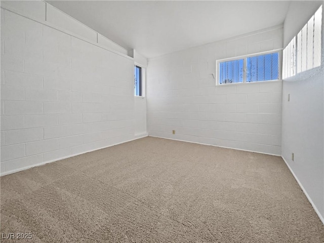 empty room featuring carpet