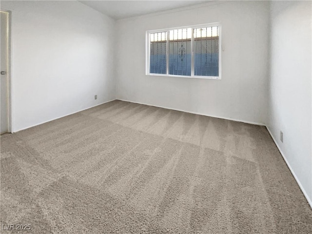 unfurnished room featuring carpet