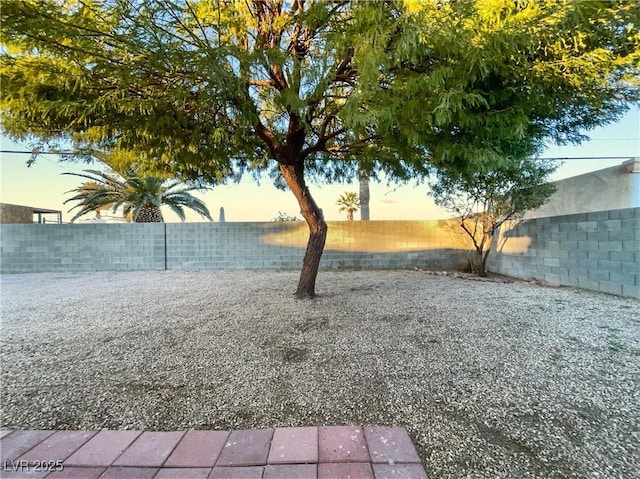 view of yard at dusk