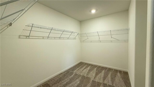 walk in closet with dark carpet