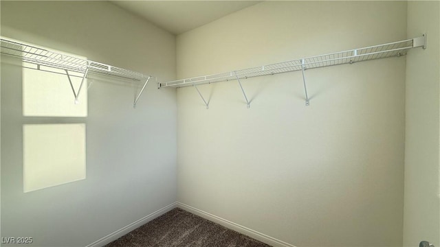 spacious closet featuring dark colored carpet