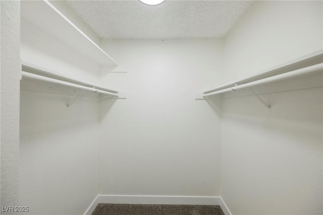 spacious closet with carpet floors