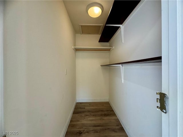 walk in closet featuring dark hardwood / wood-style flooring