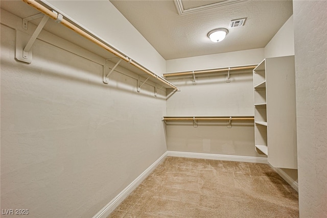 walk in closet featuring light colored carpet