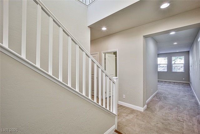 staircase featuring carpet floors