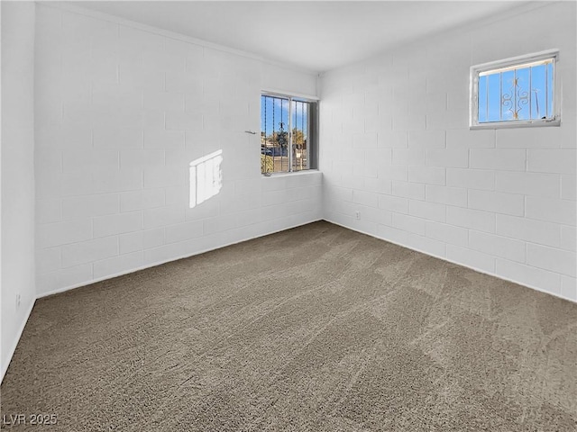 unfurnished room with carpet flooring