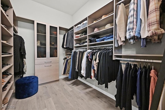 spacious closet featuring hardwood / wood-style flooring